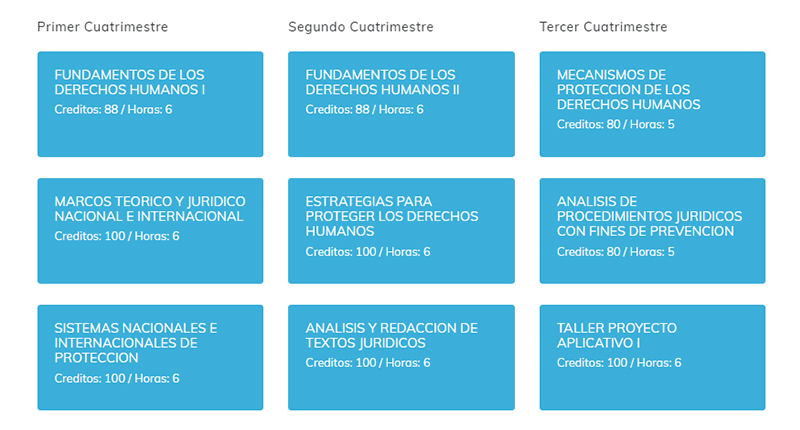 MAPA CURRICULAR GESTIÓN