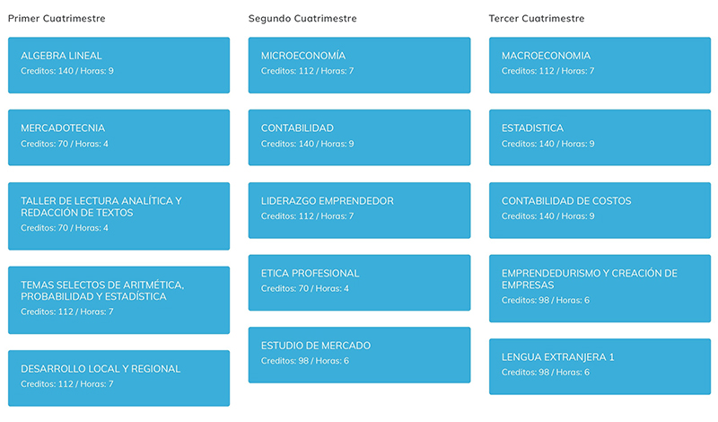 MAPA CURRICULAR GESTIÓN